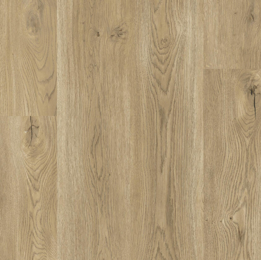 Tarkett iD Naturals 55 Gluedown Royal Oak Oiled Natural LVT Flooring ...