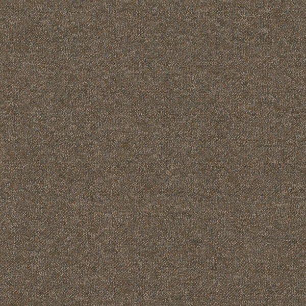 2923