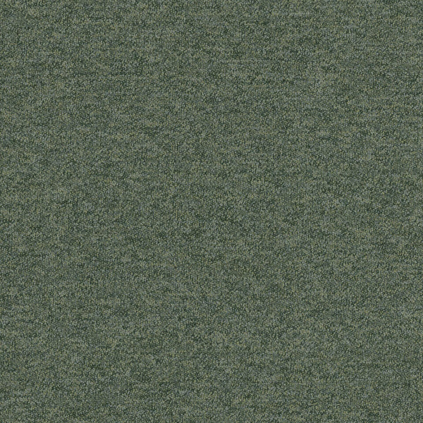 7933