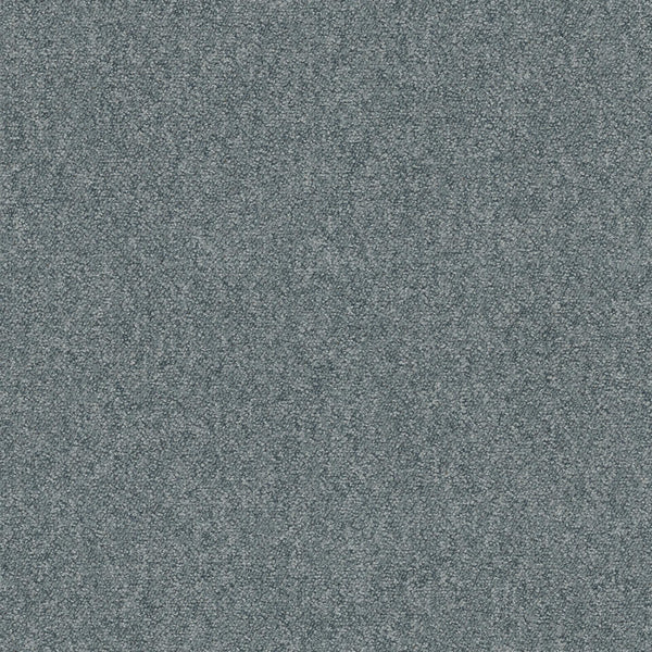 9037