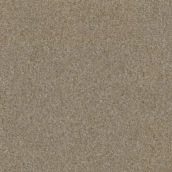 2925