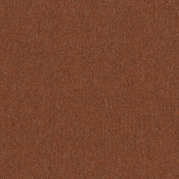 5031