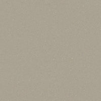 Tarkett Safetred Spectrum Clay 206073724 Sheet Vinyl
