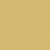TH_HE_Safetred_Spectrum_Ochre