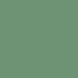 Tarkett Etrusco xf2 Linoleum
