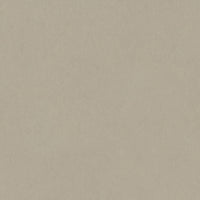 Tarkett Style Emme xf2 Linoleum Cenere 201 Linoleum