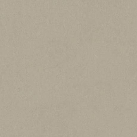 TH_LI_Linoleum_Style-Emme_201_Cenere_45f97b48-037e-4169-a52c-bdef03ac207e