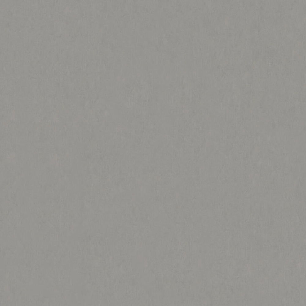 TH_LI_Linoleum_Style-Emme_202_Cemento_337a3008-3c28-4aff-b55a-8c015c6e4ea0