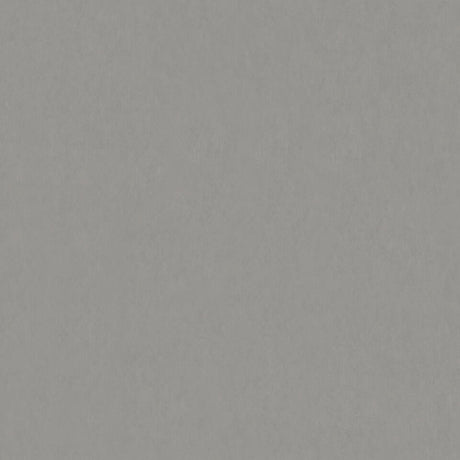 TH_LI_Linoleum_Style-Emme_202_Cemento_337a3008-3c28-4aff-b55a-8c015c6e4ea0