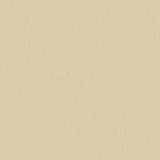 TH_LI_Linoleum_Style-Emme_401_Pearl