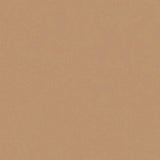 TH_LI_Linoleum_Style-Emme_435_Blossom