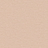 Tarkett Style Emme xf2 Linoleum