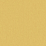 Tarkett Style Emme xf2 Linoleum