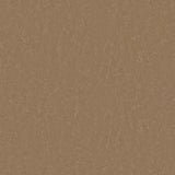 Tarkett Style Emme xf2 Linoleum