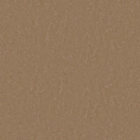 Tarkett Style Emme xf2 Linoleum Cinnamon 731 Linoleum