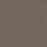 Tarkett Style Emme xf2 Linoleum