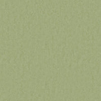 Tarkett Style Emme xf2 Linoleum Pear 753 Linoleum