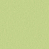 Tarkett Style Emme xf2 Linoleum