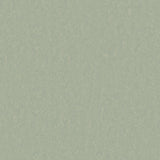 Tarkett Style Emme xf2 Linoleum