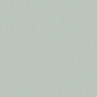 Tarkett Style Emme xf2 Linoleum Carolina 760 Linoleum
