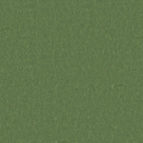 TH_LI_Linoleum_Style-Emme_796_Pine_bcd26438-e400-4ed6-bcd0-b9a83bda22c8