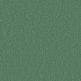 Tarkett Style Emme xf2 Linoleum