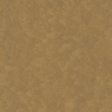 Tarkett Veneto xf2 Linoleum