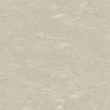 Tarkett Veneto xf2 Linoleum