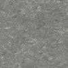 Tarkett Veneto xf2 Linoleum