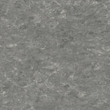 Tarkett Veneto xf2 Linoleum