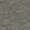 Tarkett Veneto xf2 Linoleum