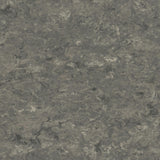 Tarkett Veneto xf2 Linoleum
