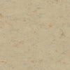 Tarkett Veneto xf2 Linoleum