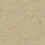 Tarkett Veneto xf2 Linoleum