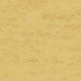 Tarkett Veneto xf2 Linoleum