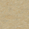 Tarkett Veneto xf2 Linoleum