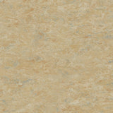 Tarkett Veneto xf2 Linoleum