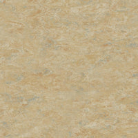 Tarkett Veneto xf2 Linoleum Camel 616 Linoleum