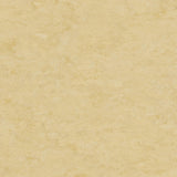 Tarkett Veneto xf2 Linoleum