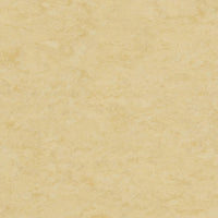 Tarkett Veneto xf2 Linoleum Eggshell 619 Linoleum