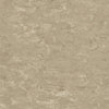 Tarkett Veneto xf2 Linoleum
