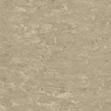Tarkett Veneto xf2 Linoleum