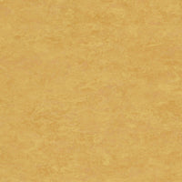 Tarkett Veneto Silencio xf2 19dB Linoleum Sunflower 628 Linoleum