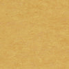 Tarkett Veneto xf2 Linoleum