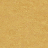 Tarkett Veneto xf2 Linoleum