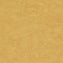 Tarkett Veneto xf2 Linoleum