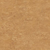 Tarkett Veneto xf2 Linoleum