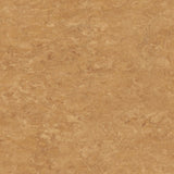Tarkett Veneto xf2 Linoleum