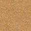 Tarkett Veneto xf2 Linoleum