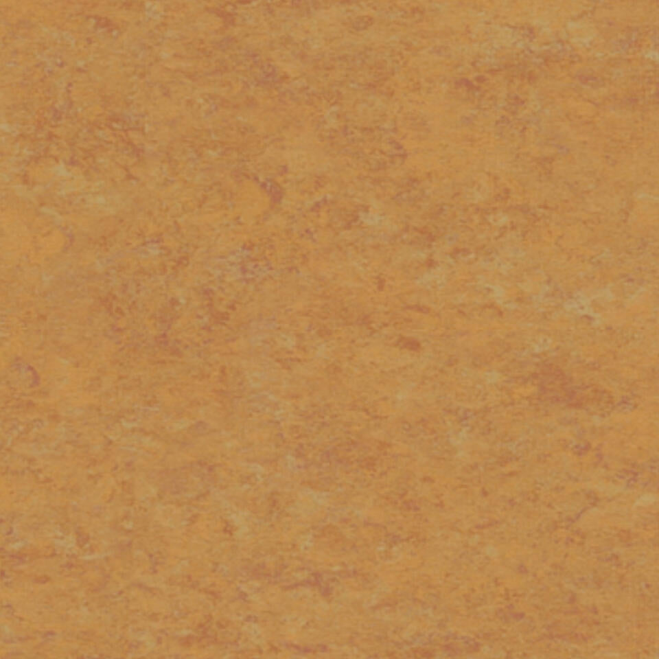 Tarkett Veneto xf2 Linoleum